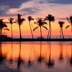 Tête de lit paradis Hawaii - Visuel