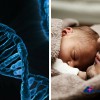 Gros dormeur ou petit dormeur ? Ces gènes qui règnent en maître sur notre sommeil ! 20150824-mds-genes